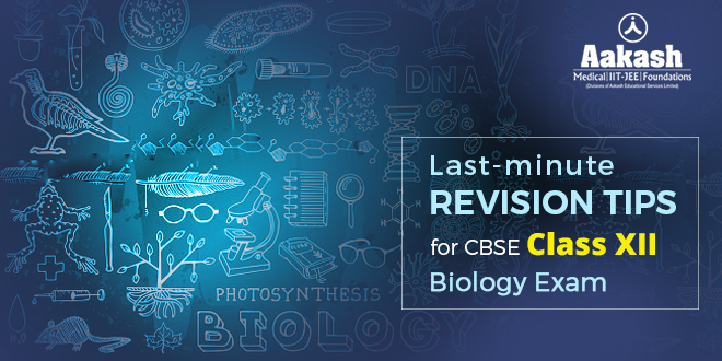 Class 12 Board Biology exam
