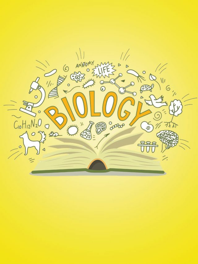 4 Effective Strategies to Crack Biology in Your NEET Exam