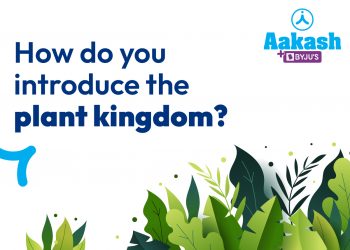 Plant kingdom introduction: All you need to know about Plant Kingdom
