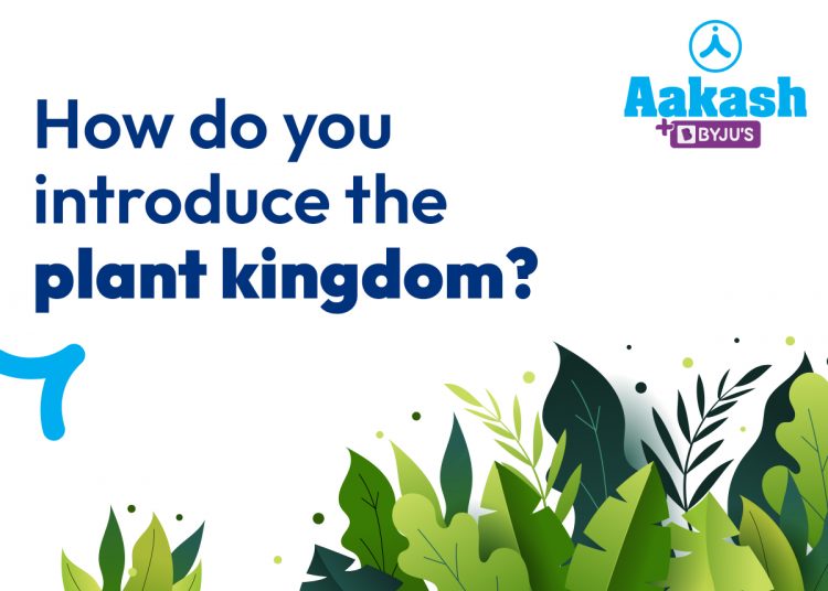 Plant kingdom introduction: All you need to know about Plant Kingdom