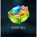 Plant Cell: Definition, Structure, Function& Types