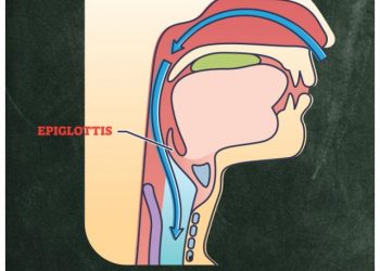 cropped-biology-epiglottis2.jpg