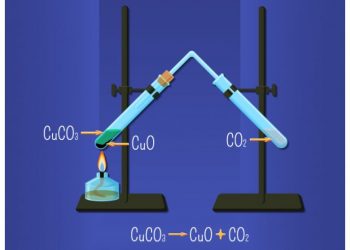 Career options after class 12