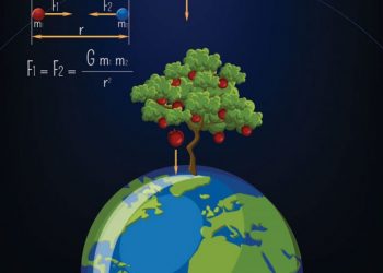The importance of Evolution - Preparation strategy for CBSE Class 12 Biology