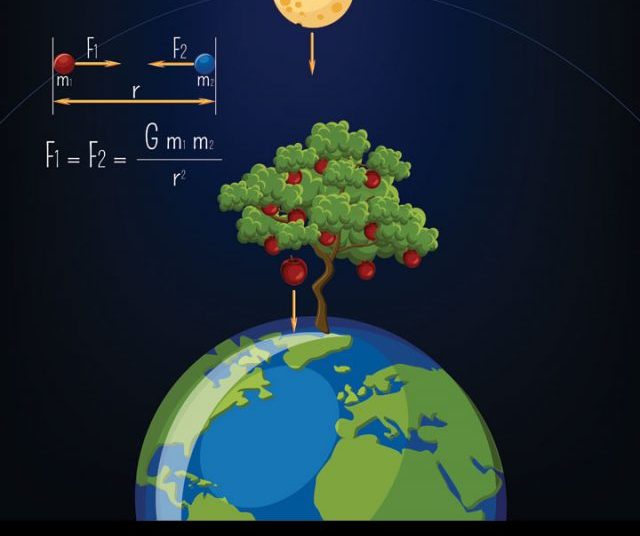 The importance of Evolution - Preparation strategy for CBSE Class 12 Biology