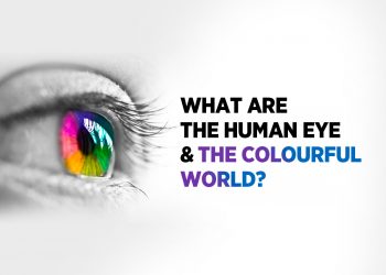 Human eye and the colorful world