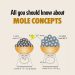 All you should know about mole concepts