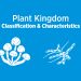 Plant Kingdom: Definition, Characteristics and Examples