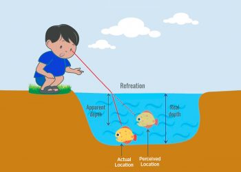 Refraction of light is the phenomenon of change in the path of light in going from one medium to another.