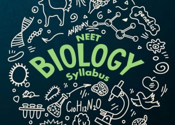 What Are Chromosomes: Structure and Function