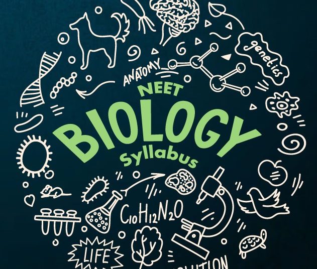 What Are Chromosomes: Structure and Function