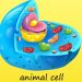 Animal Cell