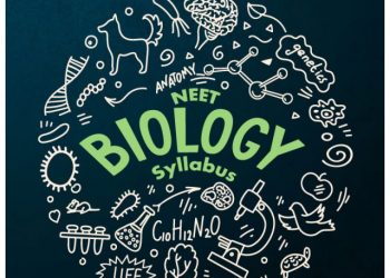 Mitochondria Notes: NCERT Class 11 Biology Important notes for NEET 2022