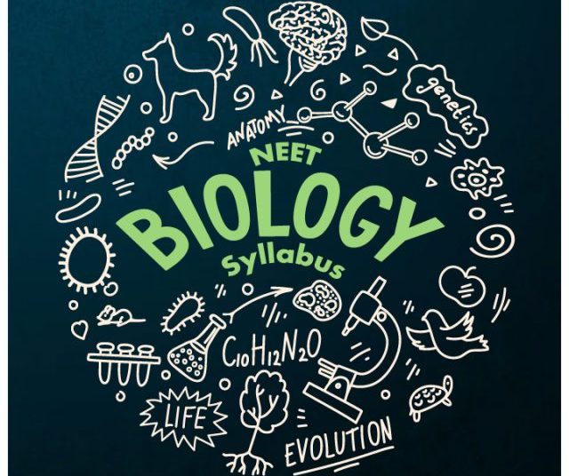 CBSE Class 12 Term 2 Biology Exam 2022: Question Paper Analysis, Answer Key and Student’s Feedback