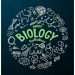 CBSE Class 12 Term 2 Biology Exam 2022: Question Paper Analysis, Answer Key and Student’s Feedback