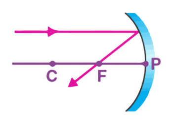 Everything You Need to Know About Ray Optics in Plane Mirrors