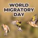World Migratory Bird Day 2022: Theme, History, Significance & Importance