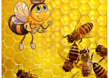 cropped-10-Most-Beautiful-Bees-in-the-World-1.jpg