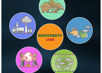 cropped-Biodiversity-Home-page.jpg