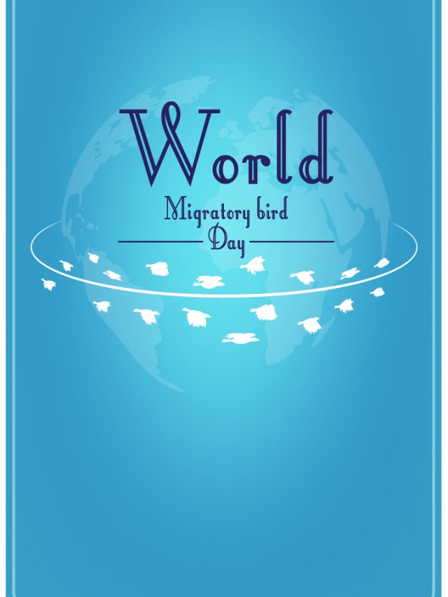 12 Most Beautiful Migratory Birds That Visit India Every Year