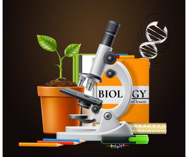 CBSE Board Exam Class 12 Biology: Chapter-Wise High Scoring Topics