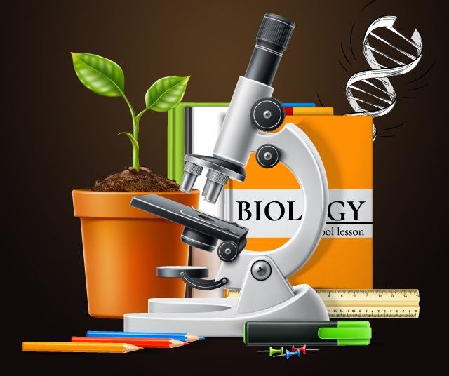 The Ultimate Guide to Scoring 340+ in NEET Biology