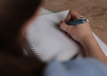 Thinking of applying for the CUET UG 2024? Here's everything you need to know