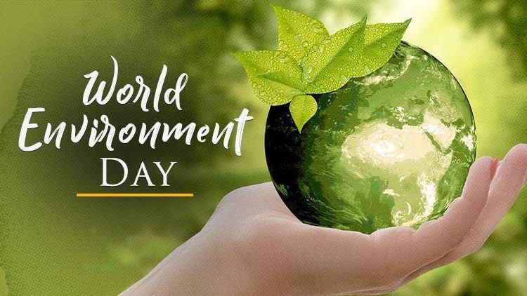 World Environment Day 2022: Date, Theme, Histiry & Significance