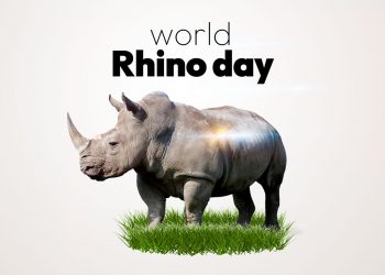 World Rhino Day