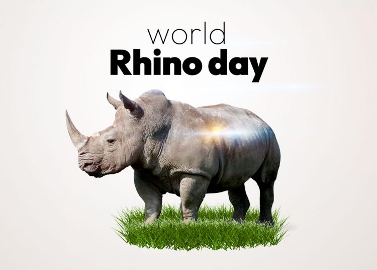 World Rhino Day