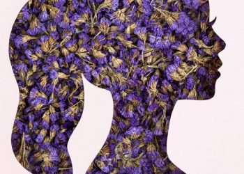 WhatsApp Image 2022-10-07 at 14.46.41