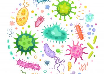 7 Facts About Viruses