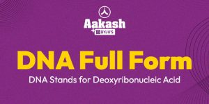 DNA Full Form: DNA Stands for Deoxyribonucleic Acid