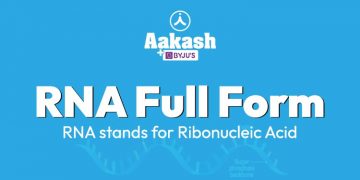 RNA Full Form: RNA stands for Ribonucleic Acid