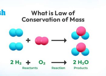 What is the Law of Conservation of Momentum?