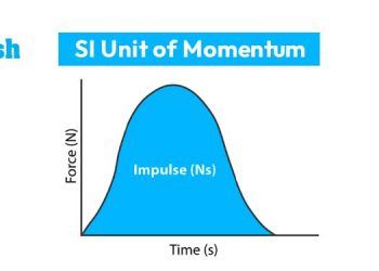 SI Unit of Momentum