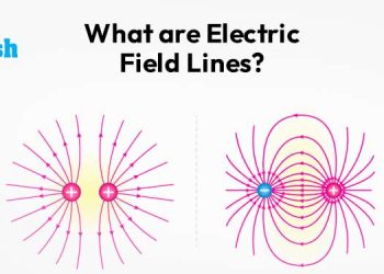 What are Electric Field Lines?