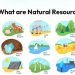 What are Natural Resources?