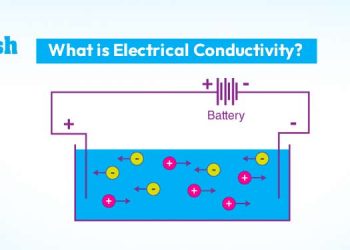 What is Electrical Conductivity?