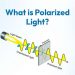 What is Polarized Light?