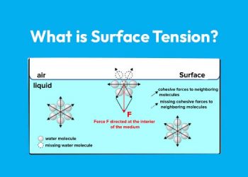 What is Surface Tension