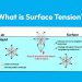 What is Surface Tension