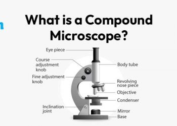 What is Compound Microscope