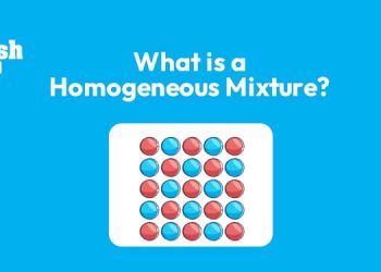 What is a Homogenous Mixture?