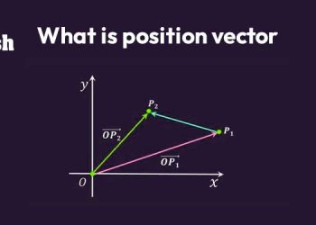 What is Position Vector?