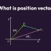 What is Position Vector?