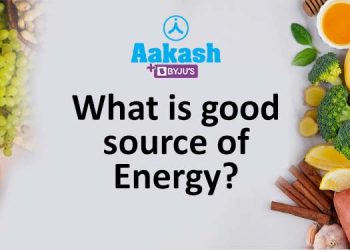 What is a Good Source of Energy?