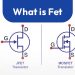 What is Fet?