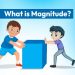 What is Magnitude?