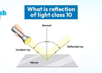 What is reflection of Light?